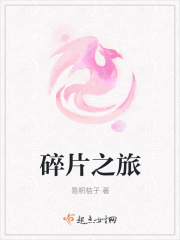 碎片之旅在线阅读