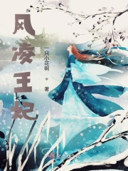 风凌王妃在线阅读