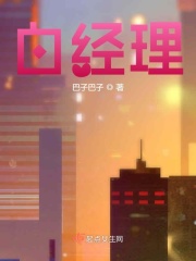 白经理1小蓝飞机在线阅读