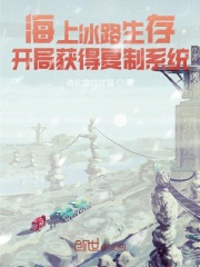 海上冰路生存：开局获得复制系统在线阅读