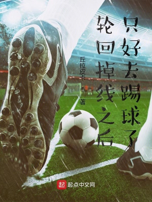 轮回掉线之后只好去踢球了在线阅读