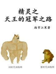 精灵之天王的冠军之路在线阅读