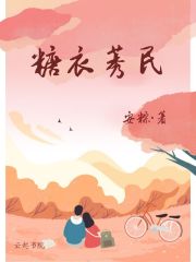 糖衣错爱陆京淮