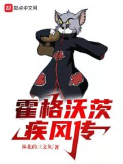 霍格沃茨疾风传在线阅读