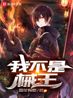 我不是械王封面