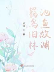 校花系列王依婷