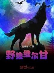 野狼维尔甘