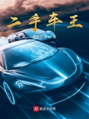 二手车王在线阅读