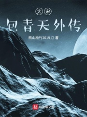 大宋包青天外传