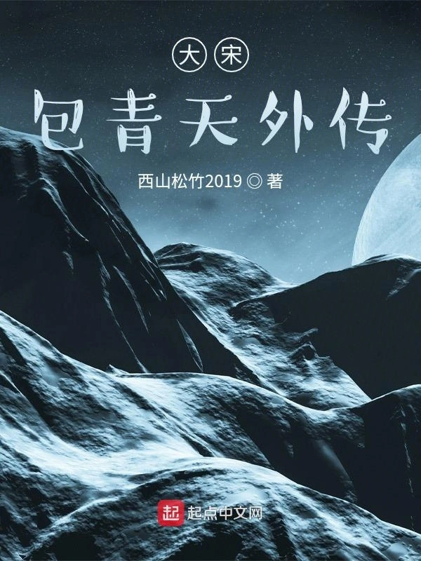 大宋包青天外传