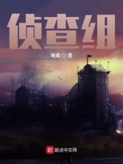 侦查组在线阅读