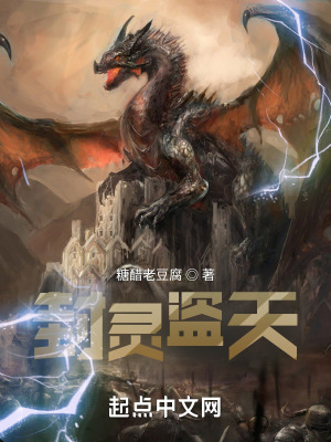 封灵盗天在线阅读