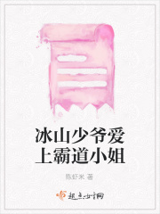 冰山少爷爱上霸道小姐