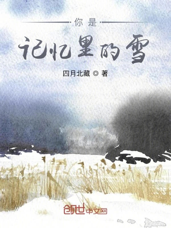 你是记忆里的雪