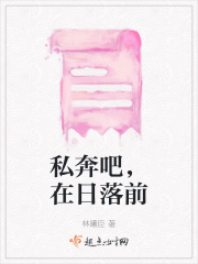 私奔吧，在日落前在线阅读