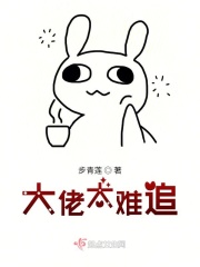 大佬太难追在线阅读