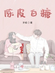 陈皮白糖在线阅读