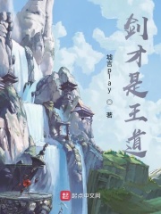 剑才是王道在线阅读