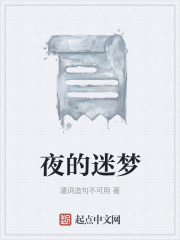 夜的迷梦在线阅读