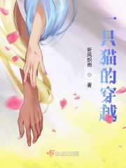 一只猫的