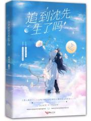 今天追到沈先生了吗在线阅读