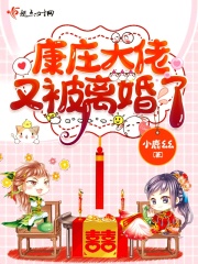康庄大佬又被离婚了在线阅读