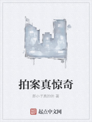 拍案真惊奇在线阅读