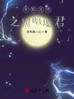 全职法师之黑暗魔君在线阅读