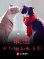 联盟：开局辅助水子哥最新章节在线阅读
