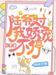分手后，陆爷对我娇宠不停在线阅读