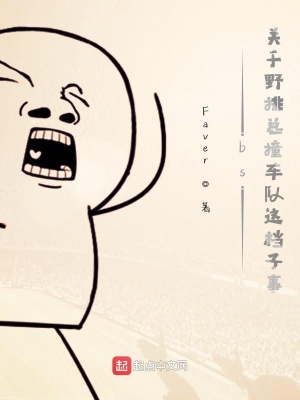 bs：关于野排总撞车队这档子事在线阅读