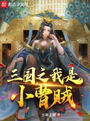 三国之我是小曹贼在线阅读