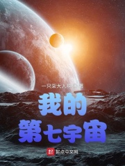我的第七宇宙在线阅读