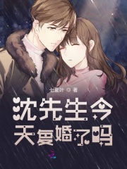 沈先生今天复婚了吗在线阅读