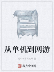 从单机到网游