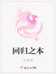 回归之本