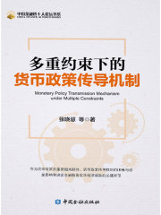 多重约束下的货币政策传导机制（中国金融四十人论坛书系）