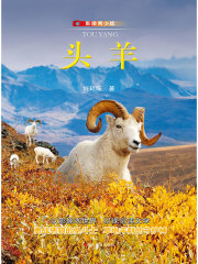 头羊（影像青少版）