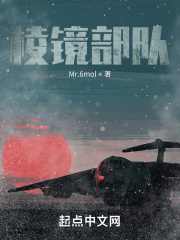 棱镜部队I：明争暗斗在线阅读