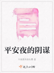 平安夜的阴谋