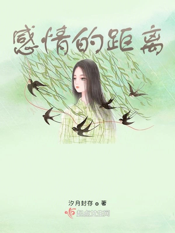 感情的距离