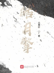 皓月擎在线阅读