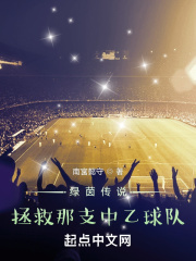 绿茵传说：拯救那支中乙球队在线阅读