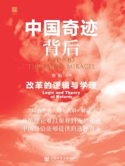 中国奇迹背后：改革的逻辑与学理