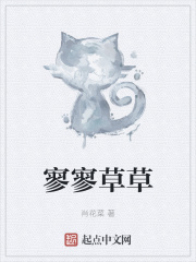 寥寥草草在线阅读