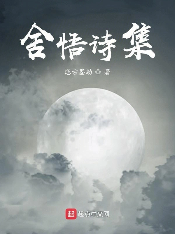 舍悟诗集