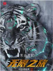 东北虎的无限之旅（陈虎）