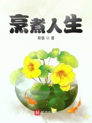 烹煮人生在线阅读