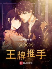 日月星事务所在线阅读