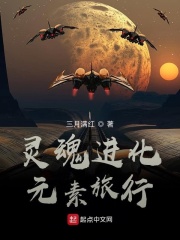 灵魂进化：元素旅行